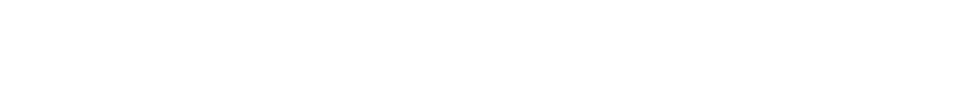 custom 100 logo